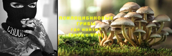 мет Алексин